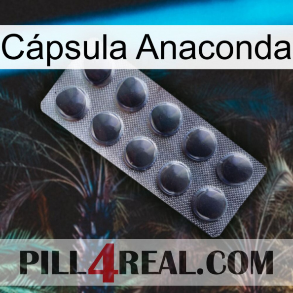 Cápsula Anaconda 30.jpg